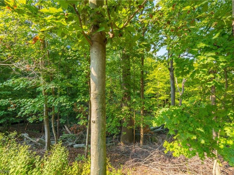 18 Hidden Valley, Rocky River, OH 44116 Photo 42