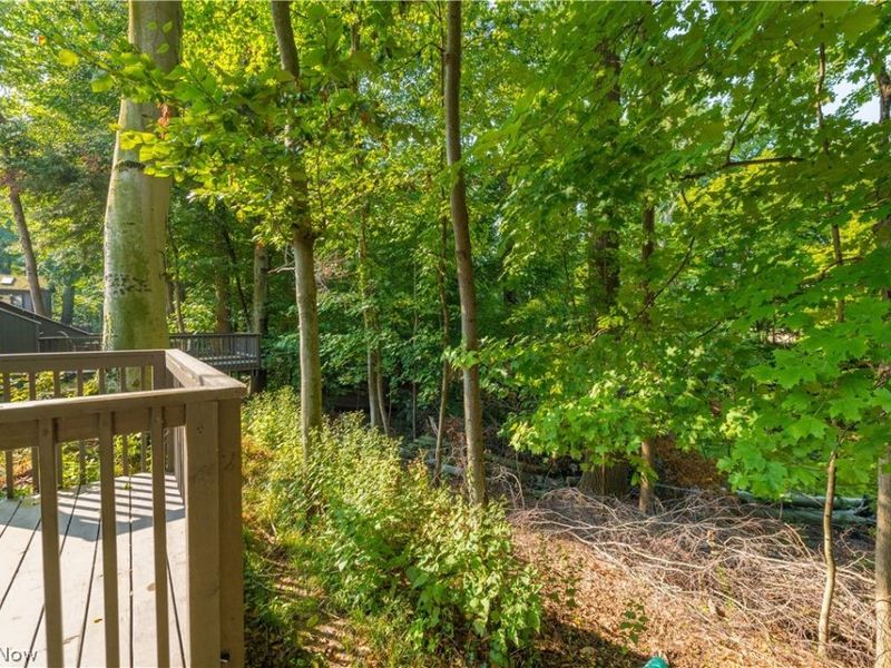 18 Hidden Valley, Rocky River, OH 44116 Photo 44