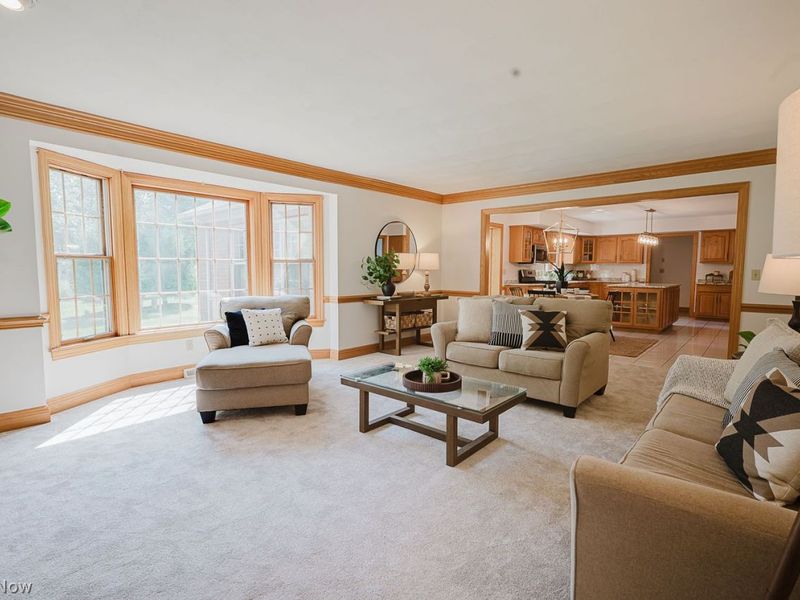111 Kings Lane, Canfield, OH 44406 Photo 19