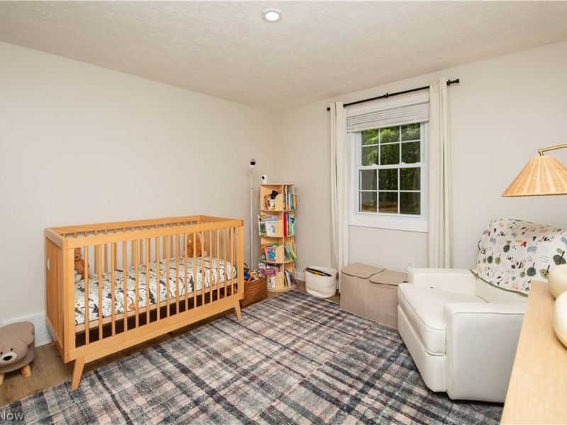 4258 Wayne Road, Mantua, OH 44255 Photo 24