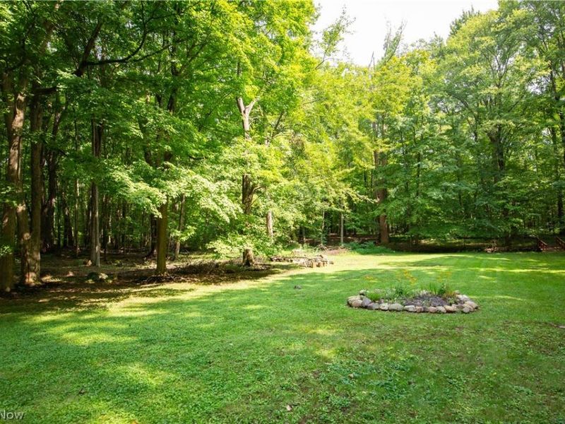 4258 Wayne Road, Mantua, OH 44255 Photo 33