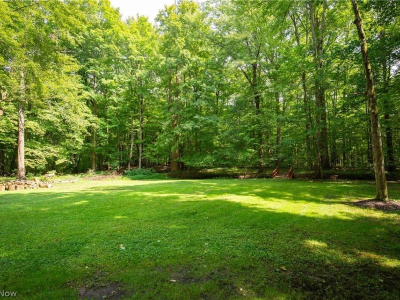 4258 Wayne Road, Mantua, OH 44255 Photo 34