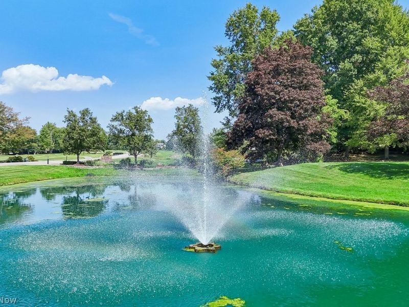 515-3 Concord Downs Circle, Aurora, OH 44202 Photo 33