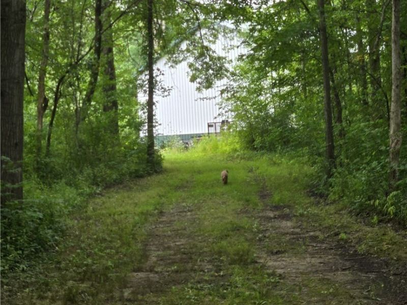 16850 and 16820 Claridon Troy Rd, Burton, OH 44021 Photo 5