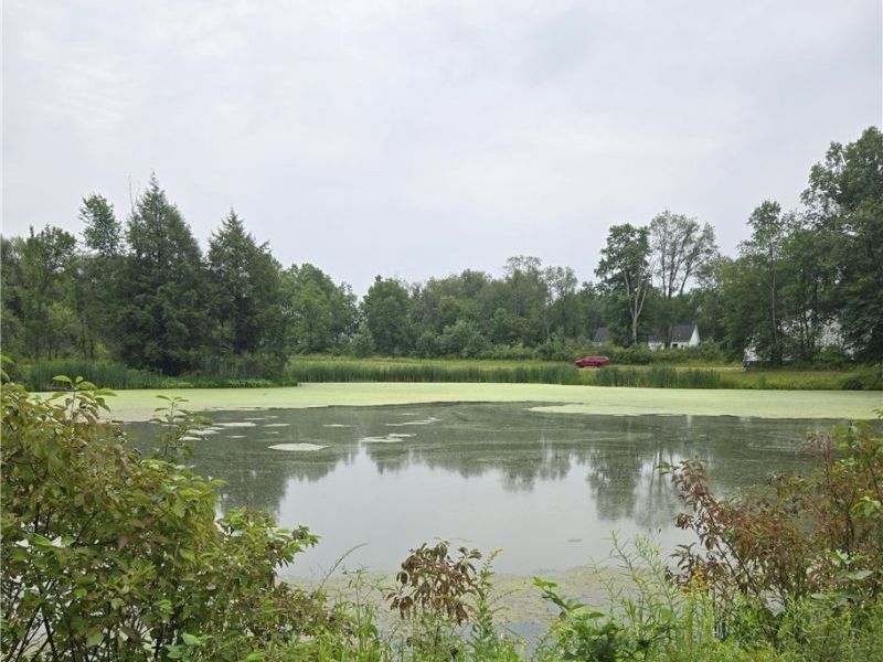 16850 and 16820 Claridon Troy Rd, Burton, OH 44021 Photo 6