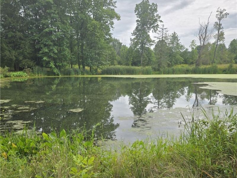 16850 and 16820 Claridon Troy Rd, Burton, OH 44021 Photo 7