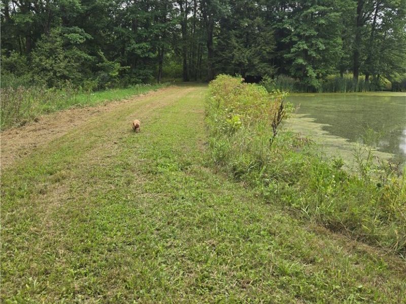 16850 and 16820 Claridon Troy Rd, Burton, OH 44021 Photo 8