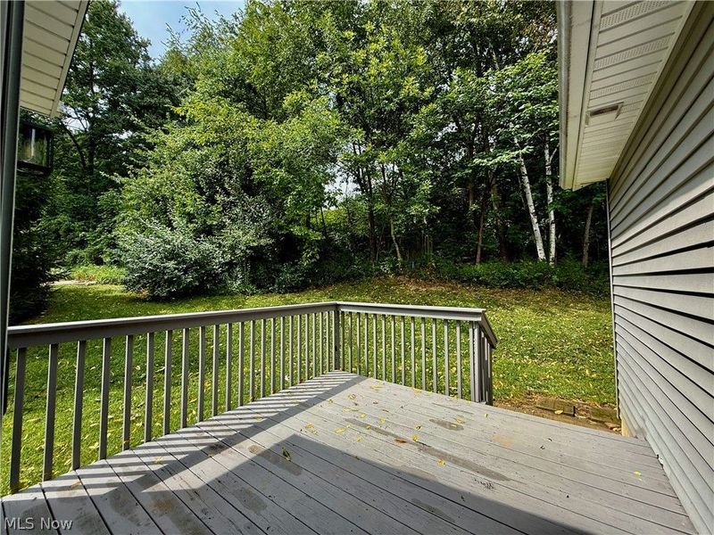 223 Home Street , Rittman, OH 44270 Photo 23