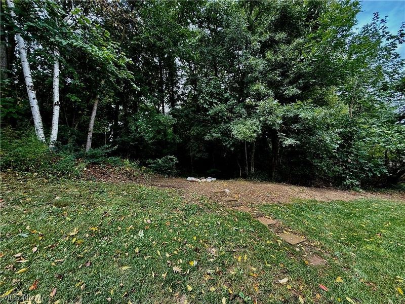 223 Home Street , Rittman, OH 44270 Photo 24