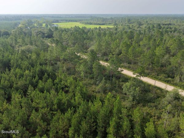 1 Ed Harrell Road , Hortense, GA 31543