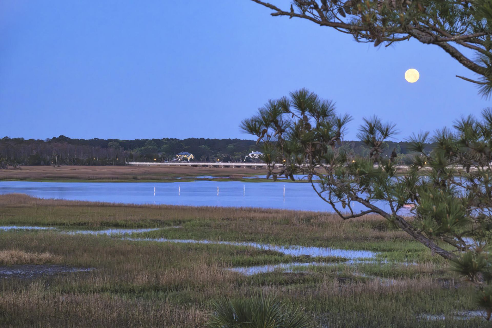 1461 Cat Island Parkway Photo 23