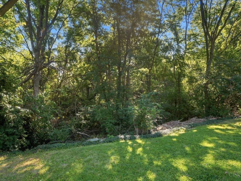 438 Kitty Lane, Delhi Township, OH 45238 Photo 44