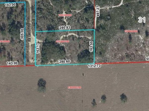 TBD NE 123rd Ave, Williston, FL 32696