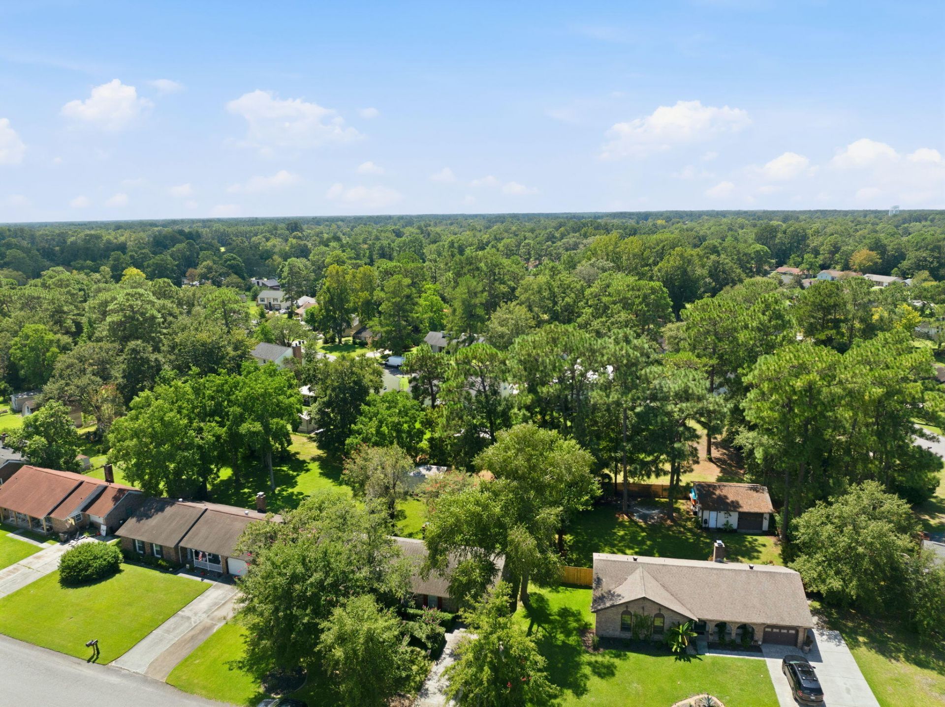 304 Longleaf Road Photo 43