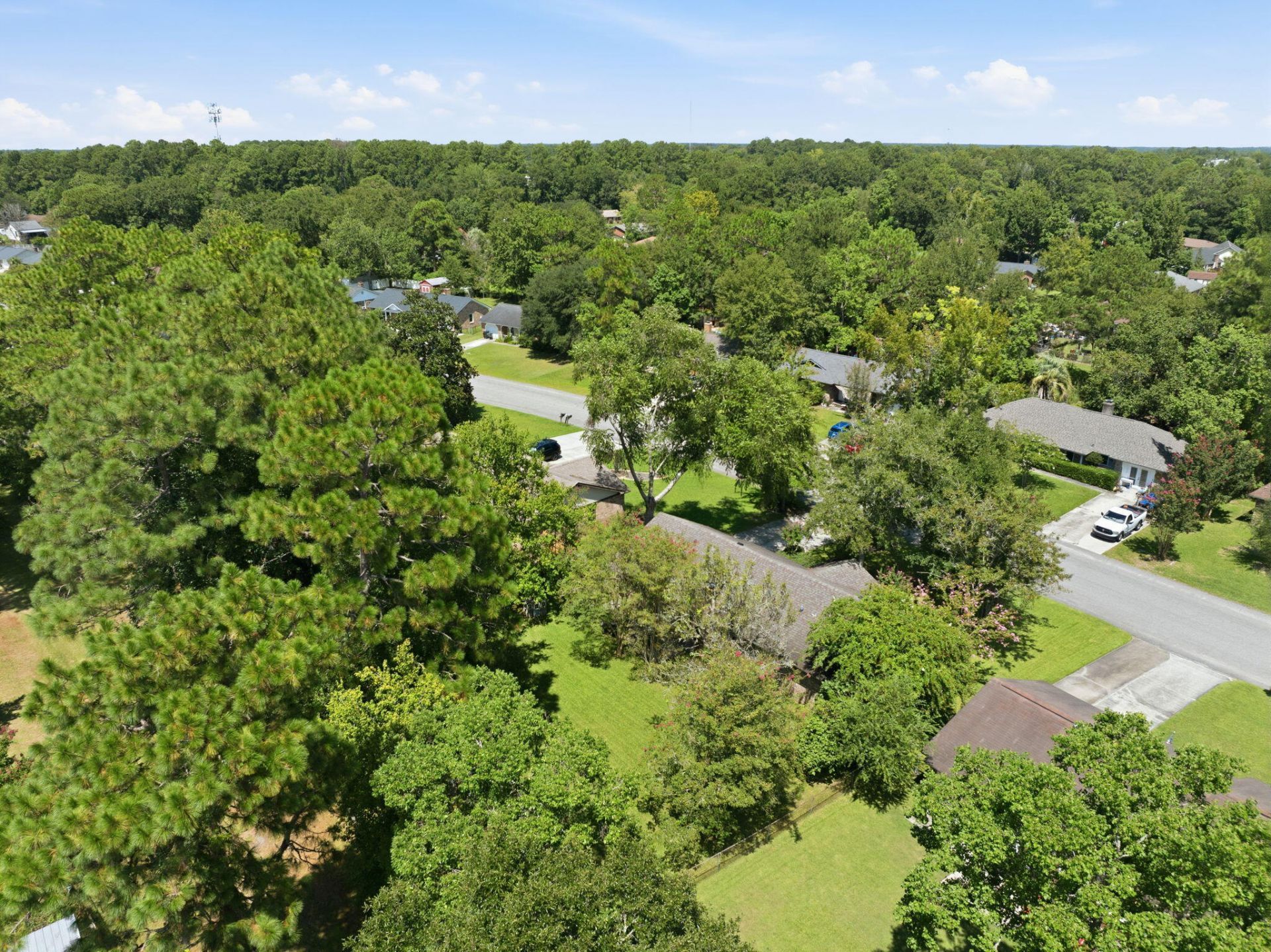 304 Longleaf Road Photo 46