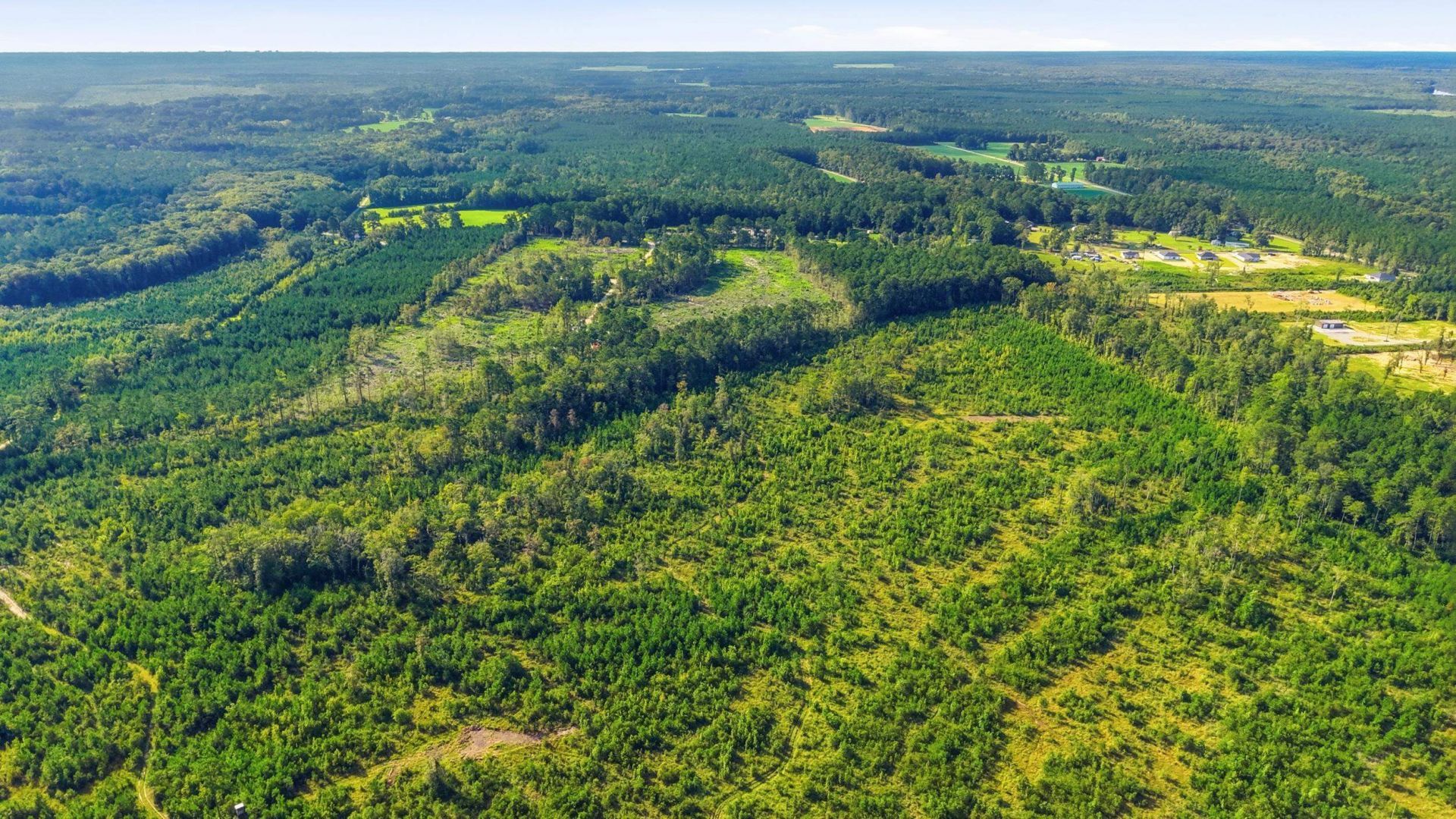 2106 Mineral Springs Rd. Photo 10