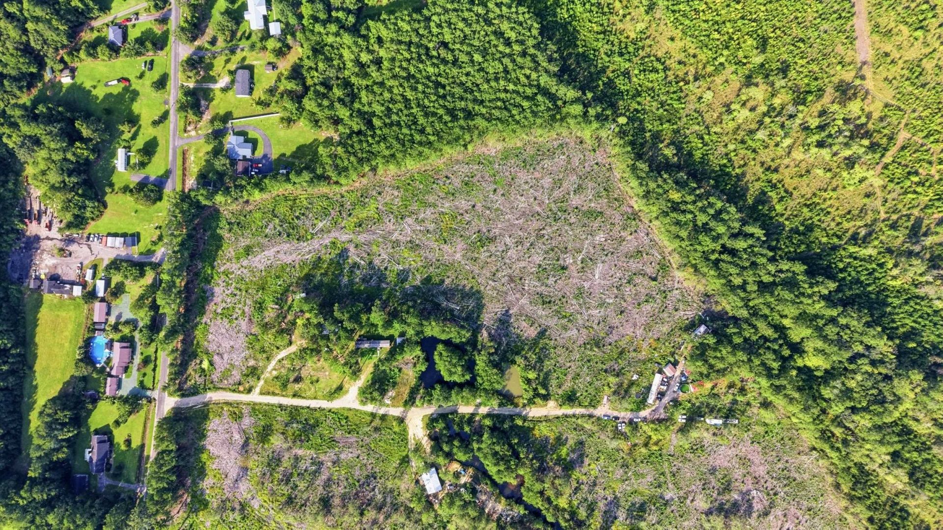 2106 Mineral Springs Rd. Photo 24