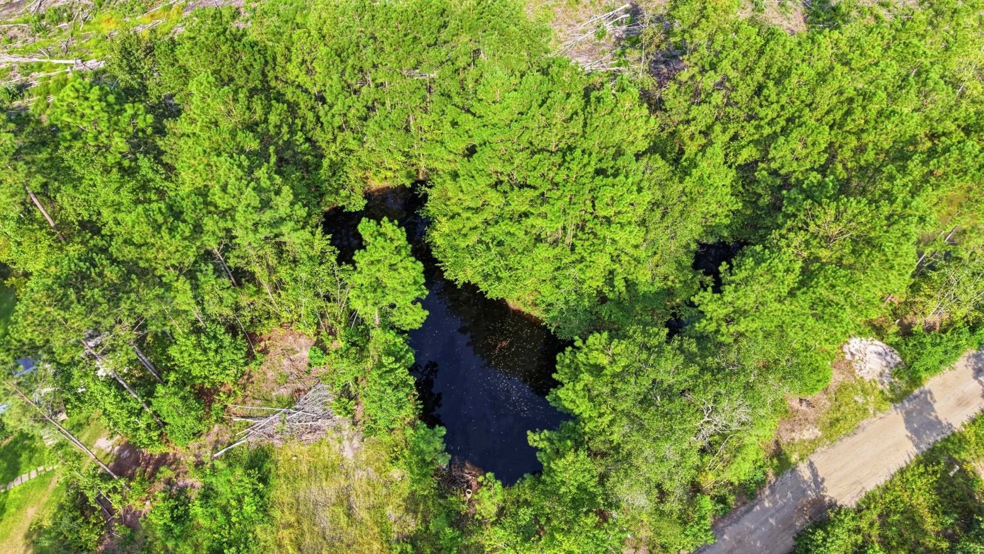 2106 Mineral Springs Rd. Photo 5