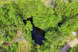 2106 Mineral Springs Rd. photo 4