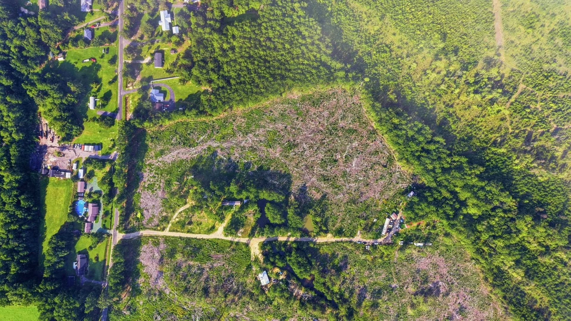 2106 Mineral Springs Rd. Photo 6