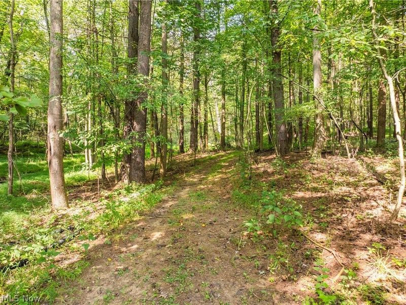 5556 Blacksnake Hill Road NE, Dover, OH 44622 Photo 42