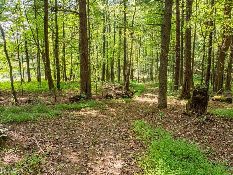 5556 Blacksnake Hill Road NE, Dover, OH 44622 Photo 44