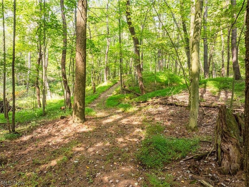 5556 Blacksnake Hill Road NE, Dover, OH 44622 Photo 45