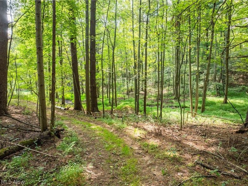 5556 Blacksnake Hill Road NE, Dover, OH 44622 Photo 46