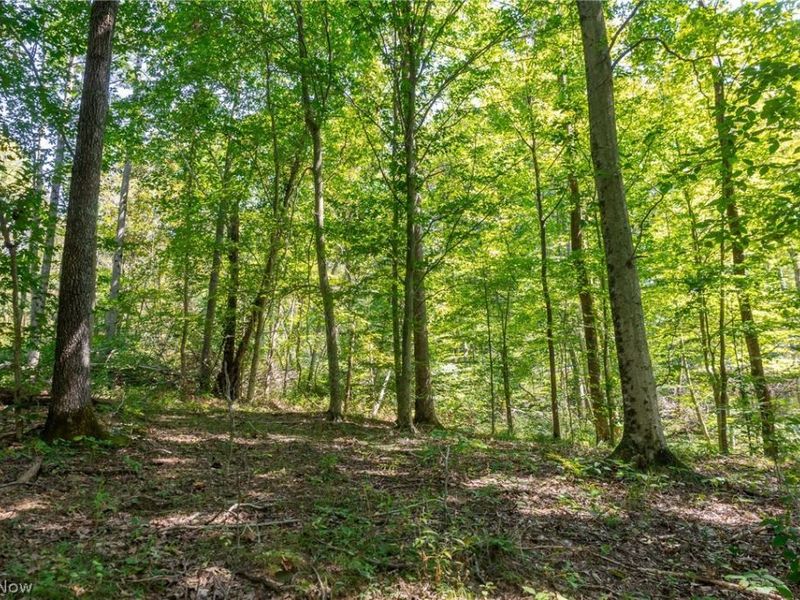 0 County Rd 269, Glouster, OH 43730 Photo 14