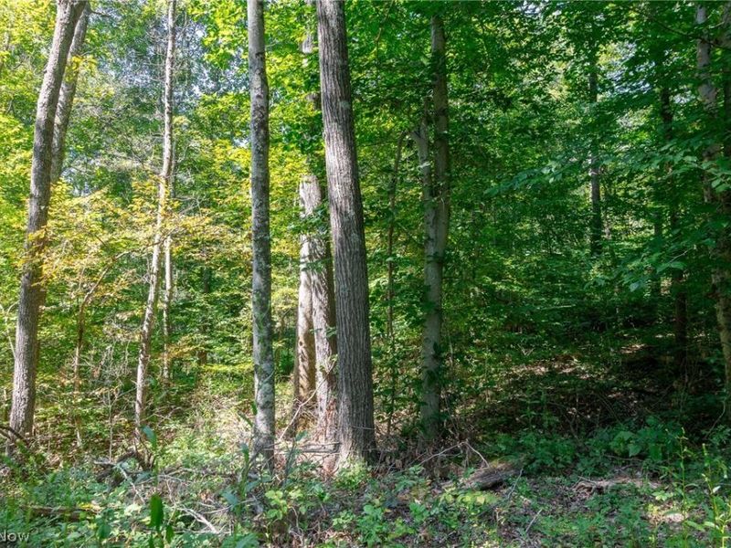 0 County Rd 269, Glouster, OH 43730 Photo 15