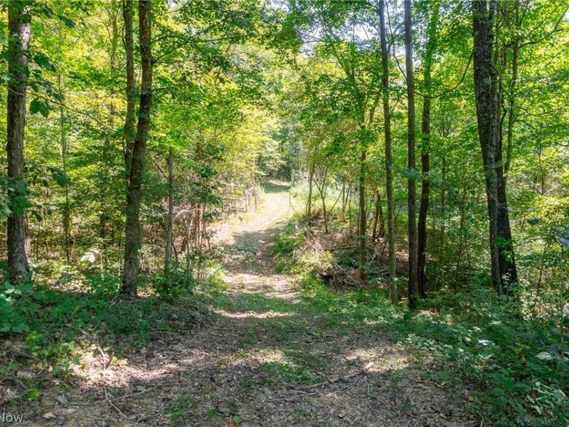 0 County Rd 269, Glouster, OH 43730 Photo 19