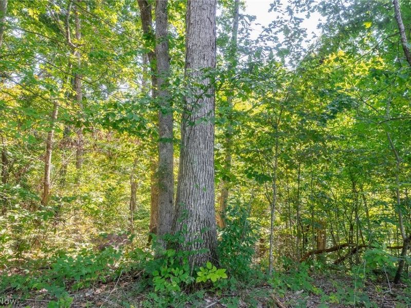 0 County Rd 269, Glouster, OH 43730 Photo 24