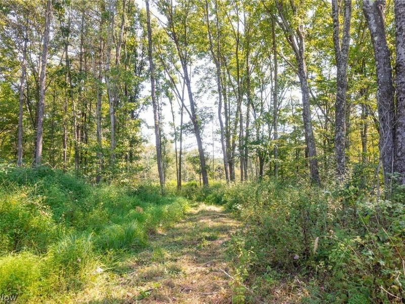 0 County Rd 269, Glouster, OH 43730 Photo 8
