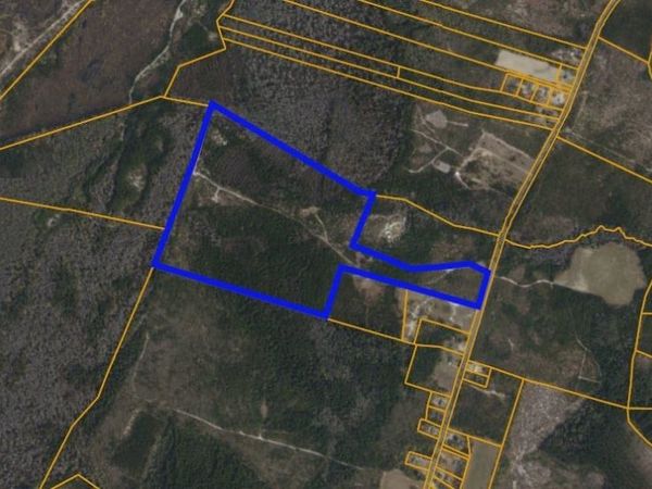 TBD N Nichols Hwy. , Nichols, SC 29581