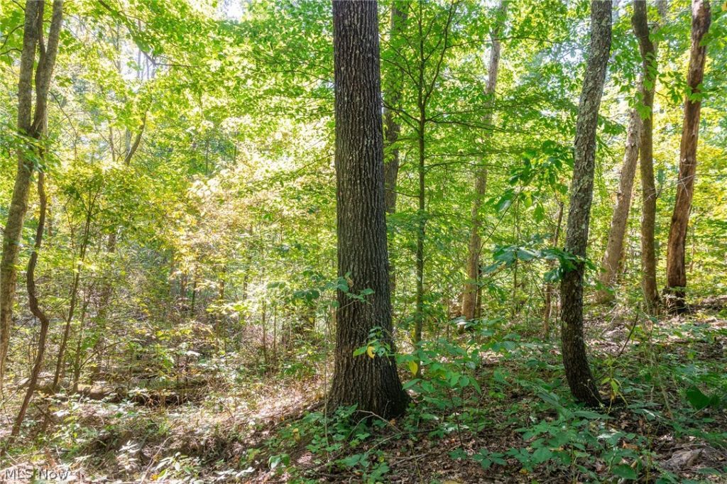 0 County Rd 269 , Glouster, OH 43730