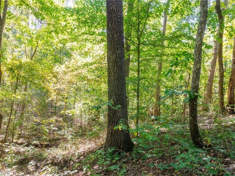 0 4 County Rd 269, Glouster, OH 43730 Photo 1