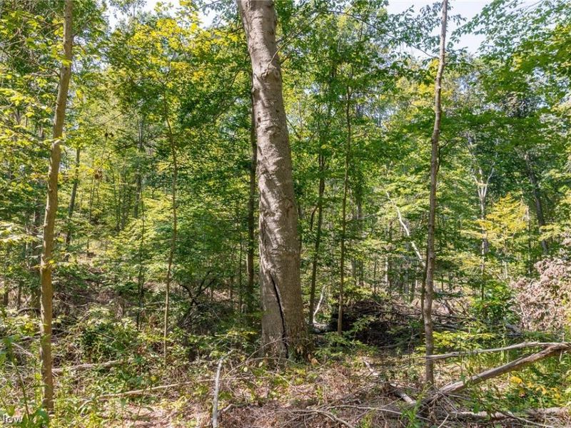 0 4 County Rd 269, Glouster, OH 43730 Photo 11