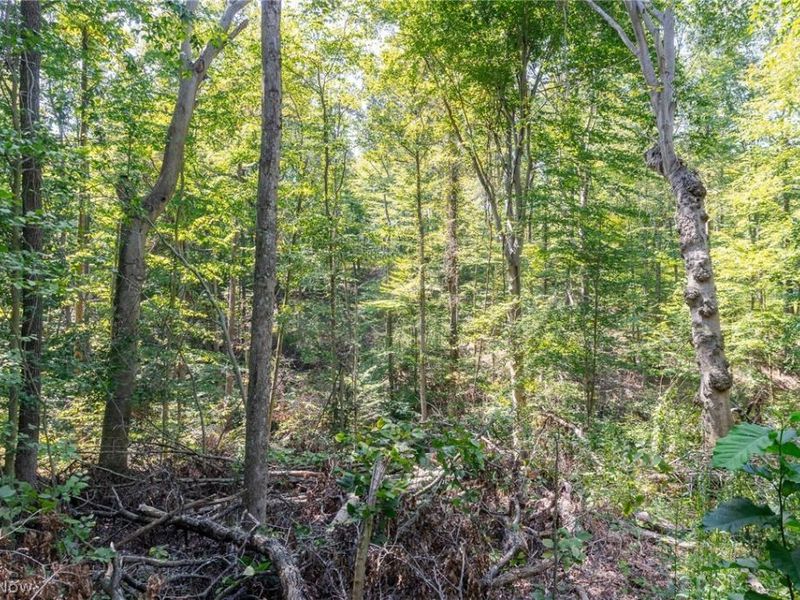 0 4 County Rd 269, Glouster, OH 43730 Photo 12