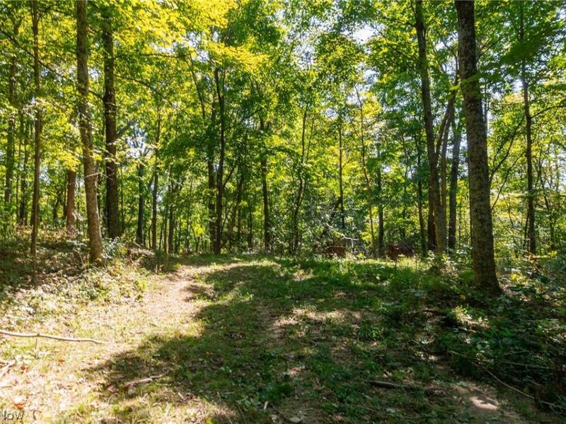 0 4 County Rd 269, Glouster, OH 43730 Photo 14