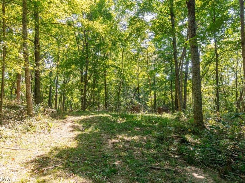 0 4 County Rd 269, Glouster, OH 43730 Photo 15