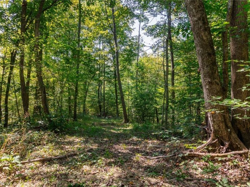 0 4 County Rd 269, Glouster, OH 43730 Photo 17
