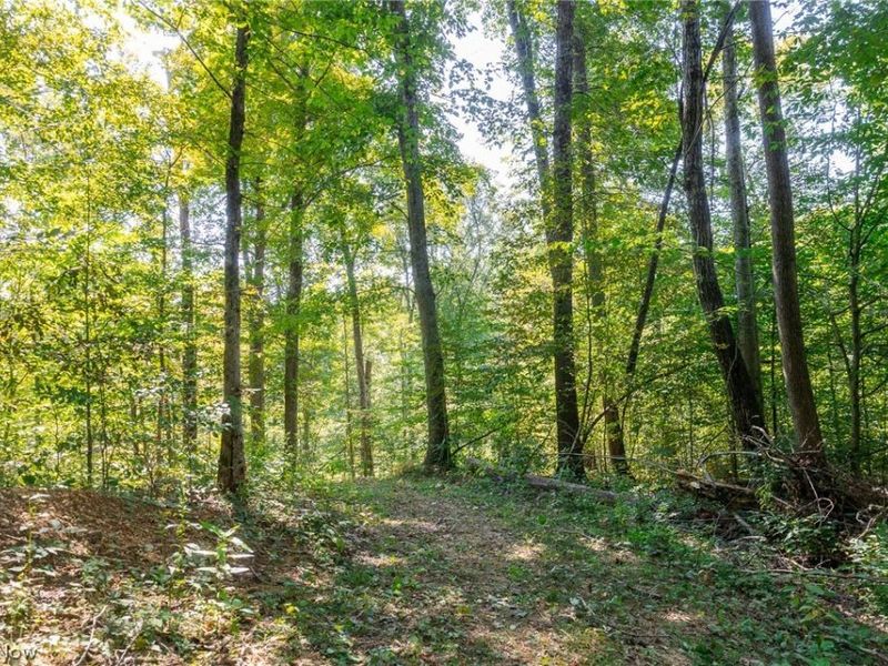 0 4 County Rd 269, Glouster, OH 43730 Photo 18