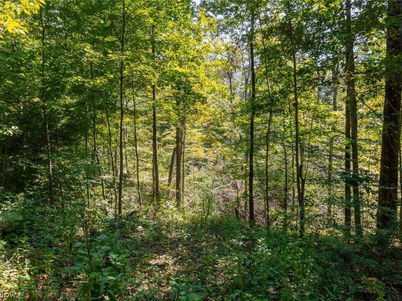 0 4 County Rd 269, Glouster, OH 43730 Photo 25