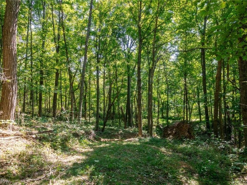 0 4 County Rd 269, Glouster, OH 43730 Photo 27
