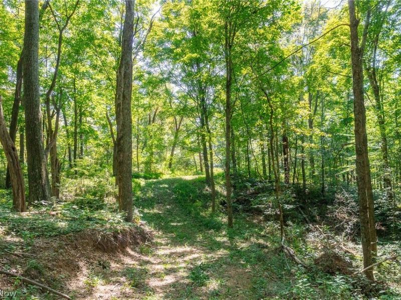 0 4 County Rd 269, Glouster, OH 43730 Photo 28