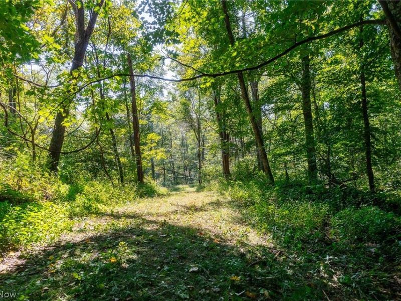 0 4 County Rd 269, Glouster, OH 43730 Photo 30