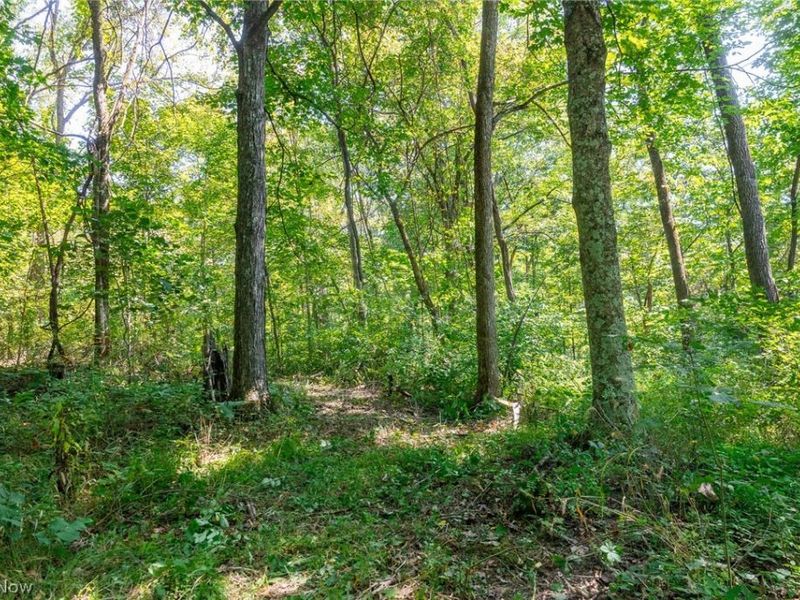 0 4 County Rd 269, Glouster, OH 43730 Photo 31
