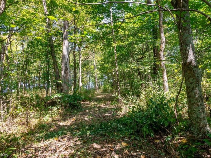 0 4 County Rd 269, Glouster, OH 43730 Photo 32