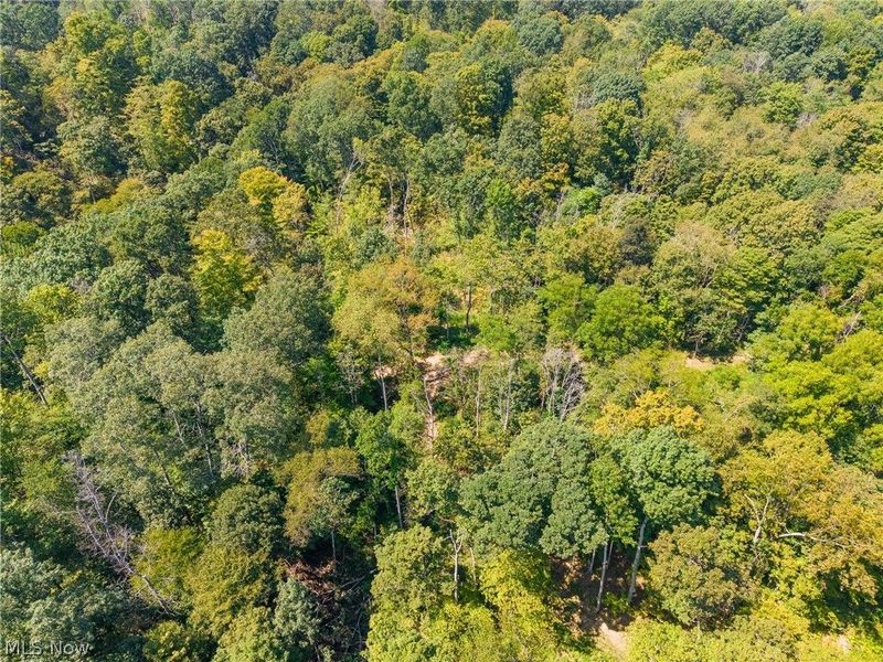 0 4 County Rd 269, Glouster, OH 43730 Photo 36