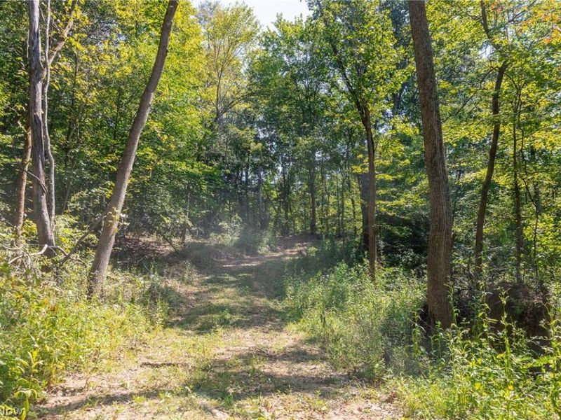 0 4 County Rd 269, Glouster, OH 43730 Photo 5